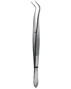 Tooth Tweezers  